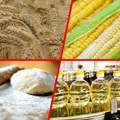 Rod kukuruza i soje ispod proseka, suncokret otporan na sušu: Nizak vodostaj Dunava i logistika koče izvoz