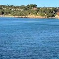 Đina Džinović skočila sa luskuzne jahte svog očuha u donjem vešu: Vrisnula usred plovidbe, isplivao video