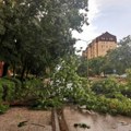 Drveće srušeno na puteve i automobile, crepovi padaju sa zgrada... Velika šteta nastala za samo nekoliko minuta…