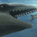Mešavina kita i foke sa licem Pokemona Otkriven redak praistorijski fosil star 25 miliona godina (foto)