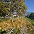 KAMERA NE MIRUJE! Rana i pozna jesen, sve jednom vikendu! Zapadni i Istočni kej, razlike velike! Kako iz Zanatlijske ulice…