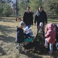 Nastavak akcije ozelenjavanja: Nove jelke u Spomen-parku „Kragujevački oktobar”