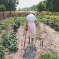 Savremeni kanadski dokumentarci na 19. Beldocsu: Od Leonarda Koena do sezonskog rada