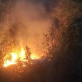 Uhapšena zbog izazivanja požara