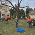 Uklanjanje polomljenih grana i kvarova na stubovima javnog osvetljenja nakon nevremena