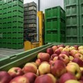 Može li Srbija da iskoristi manjak jabuka u Evropi
