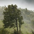 Oluja napravila rusvaj: Vetar nosio krovove u Kruševcu, u Kraljevu potop FOTO/VIDEO