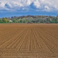 Srbija izgubila više od milion hektara oranica zbog izgradnje zgrada