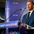 Mađar: Orban govorio o nasilnoj promeni ustavnog poretka, kazna za to je do 20 godina