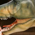 Naučnici pronašli tragove stare 120 miliona godina koji bi mogli da otkriju istinu o dinosaurusima