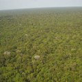 Osam zemalja se sastalo radi prestanka krčenja amazonske prašume: Ništa konkretno se nisu dogovorili