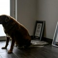 Veterinari sumnjaju u istinitost podataka o broju godina najstarijeg psa na svetu, vlasnik objavio tajnu dugovečnosti