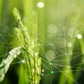 Podravka Agri ulaže 33 miliona evra u poljoprivrednu opremu