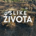 Slike života, nedelja u 15:15: Vatre juga