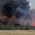 Gori šest hektara borove šume, vetar nosi vatru ka tometinom polju Stravične slike jezivog požara (Foto/video)