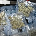 U Nišu uhapšen diler sa više od dva i po kilograma marihuane