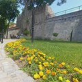 Sunčan i veoma topao utorak u Nišu