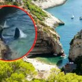 Hrvat vezao morskog psa za rep Uznemirujuće scene na Jadranu, zver se otima svom silom! (foto)
