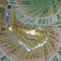 Otkrivena veća količina zlata i deviza na Batrovcima