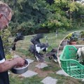 Spasavanje rodca rajana Milan Mirić iz Koluta posvetio život čuvanju životinjskog sveta