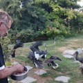 Milan Mirić iz koluta svoj život posvetio čuvanju životinjskog sveta Na vrata njegovog zoo-vrta dovode ranjene, otrovane…