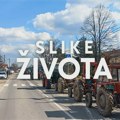 Slike života u nedelju: Domaćini na asfaltu