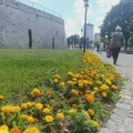 Oblaci stižu u Niš, mogući popodnevni pljuskovi