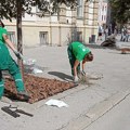 FOTO: Košenje, orezivanje i druga održavanja zelenila u gradu