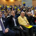 Izabran novi predsednik Demokratske stranke, Lutovac nije ušao u drugi krug