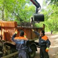 Kragujevac: JKP Šumadija besplatno preuzima kabasti otpad