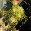 Arhiv javnih skupova: 3.300 ljudi na protestu u Zaječaru, što je srazmerno 140.000 ljudi u Beogradu