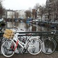 Amsterdamski kanali dobiće stepenice za spasavanje mačaka od utapanja