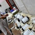Institut za transfuziju: Rezerve krvi dovoljne za samo jedan dan
