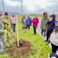 Sremski Karlovci u zelenoj misiji: Za "Drveće prijateljstva" 50 novih sadnica