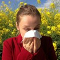 Kako prepoznati simptome alergije na ambroziju i kako se lečiti