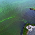 „Trovanje apokaliptičnih razmera“: Najveće jezero u Britaniji postalo jarko zeleno /video/