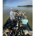 (VIDEO) Pecaroši otišli na jezero da love ribu, pa u njemu pronašli 38 pasa