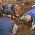 U Seništima pronađena urna sa ostacima ljudskih kostiju iz praistorije