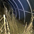 Zaplena ogromne količine droge kod Loznice: Velika akcija policije (Foto)