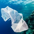Novo istraživanje: Količina plastike u okeanima manja nego što se pretpostavlja
