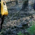 Lokalizovan požar u mestu Gradac: Na gašenju angažovano 47 vatrogasaca-spasilaca sa 22 vozila