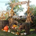 Tavankut u znaku voća i rukotvorina: festival spaja tradiciju i zajedništvo