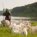 Danas je međunarodni dan žena na selu One su nosioci promena i razvoja heroine svakodnevice
