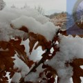 RHMZ: Zima se vraća na jugoistok Srbije posle vikenda
