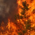 Vatrogasci na terenu širom Srbije: Aktivno 25 požara