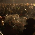 Nemačka dozvolila upotrebu marihuane: Legalizacijom protiv crnog tržišta