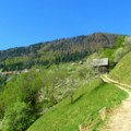Cene zemljišta na ovoj planini VRTOGLAVO rastu! Stigle i do trinaest hiljada evra za jedan ar