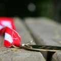 Tri zlata i jedno srebro za učenike Matematičke gimnazije u Beču