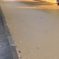 Izmenjen prevoz u Beogradu zbog "potopa": Severni bulevar pod vodom, cev pukla i u Krunskoj