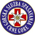 GSS Crne Gore spasila povređenu Nemicu na Durmitoru u rejonu Lokvice